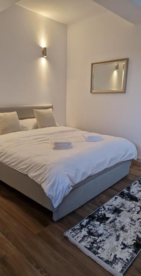 Modern House Hotel Sighetu Marmaţiei Екстериор снимка